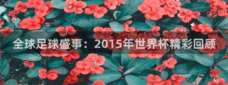 2026世界杯南美区积分榜：全球足球盛事：2015年世界杯精彩回顾