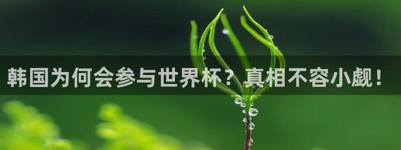 免费足球比赛直播高清：韩国为何会参与世界杯？真相不容小觑！
