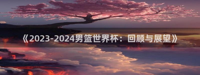 世界杯足球比赛：《2023-2024男篮世界杯：回顾与展望》
