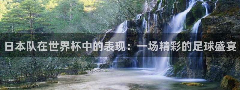 世界杯预选赛赛程：日本队在世界杯中的表现：一场精彩的足球盛宴