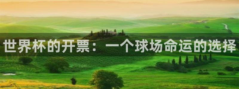 世界杯直播网站：世界杯的开票：一个球场命运的选择