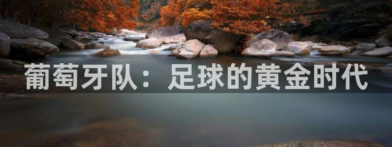 世界杯预选赛：葡萄牙队：足球的黄金时代