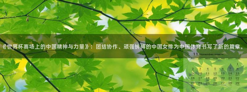 世界杯赛程时间表：《世界杯赛场上的中国精神与力量》：团结协作、顽强拼搏的中国女排为中国体育书写了新的篇章。