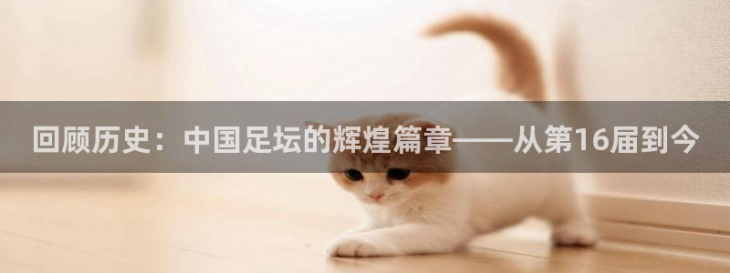 世界杯预选赛：回顾历史：中国足坛的辉煌篇章——从第16届到今