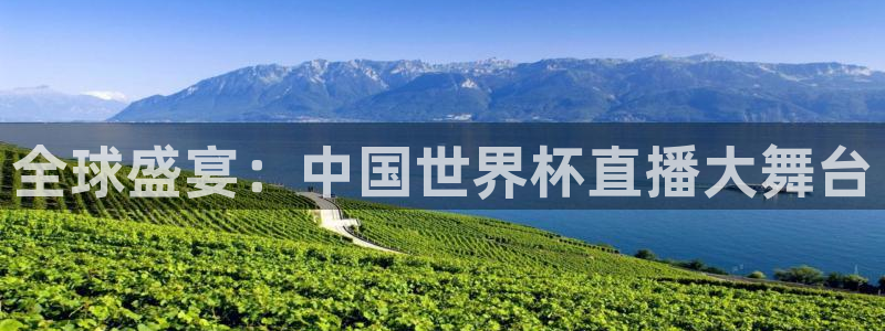 亚洲杯比赛直播：全球盛宴：中国世界杯直播大舞台