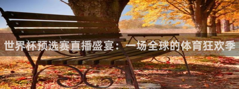 世界杯球赛：世界杯预选赛直播盛宴：一场全球的体育狂欢季