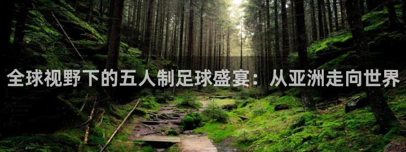 世界杯足球比赛：全球视野下的五人制足球盛宴：从亚洲走向世界