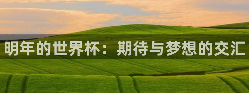 世界杯赛程时间表:明年的世界杯:期待与梦想的交汇