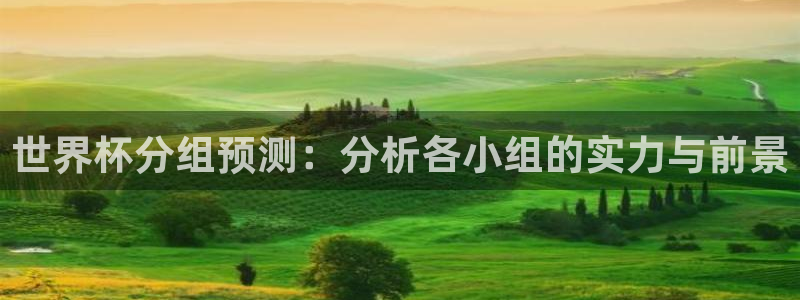 世界杯直播高清：世界杯分组预测：分析各小组的实力与前景