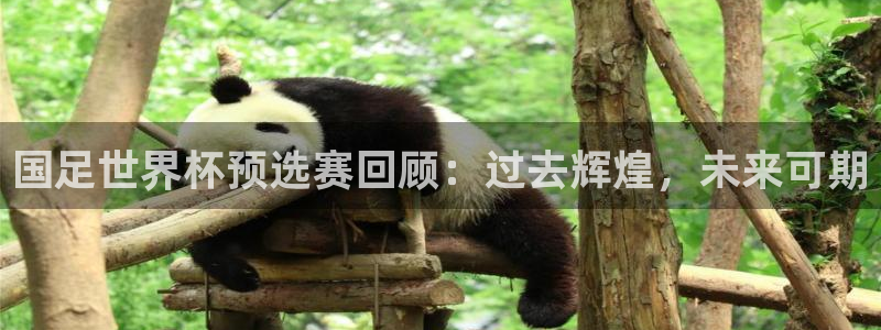 世界杯官网：国足世界杯预选赛回顾：过去辉煌，未来可期