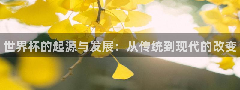 亚洲区世界杯预选赛：世界杯的起源与发展：从传统到现代的改变