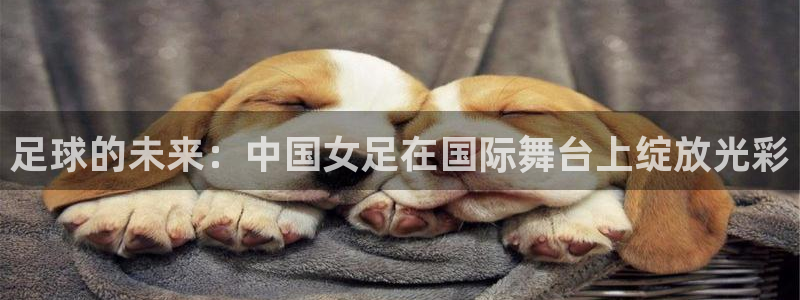 世界杯足球：足球的未来：中国女足在国际舞台上绽放光彩