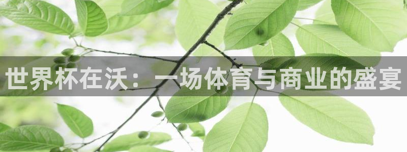 世界杯赛程表2026：世界杯在沃：一场体育与商业的盛宴