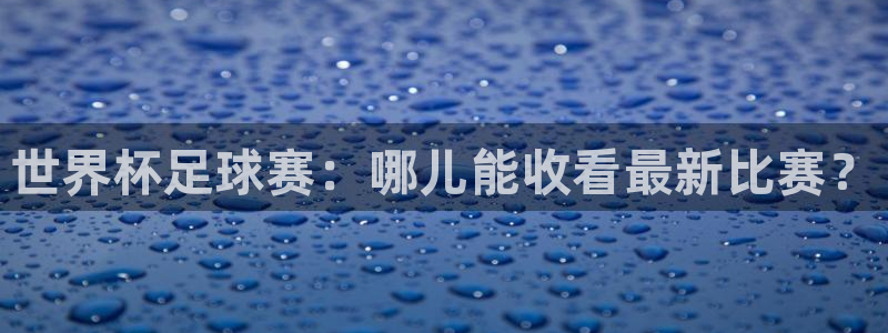 2026世界杯：世界杯足球赛：哪儿能收看最新比赛？