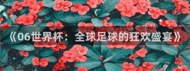 女足世界杯赛程：《06世界杯：全球足球的狂欢盛宴》
