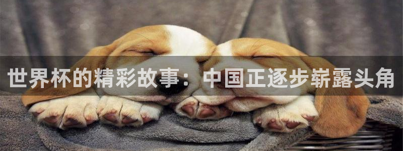 2006年世界杯：世界杯的精彩故事：中国正逐步崭露头角